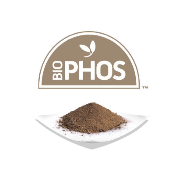 BioPhos