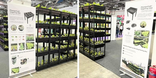 PlanterCell VegeTray 550