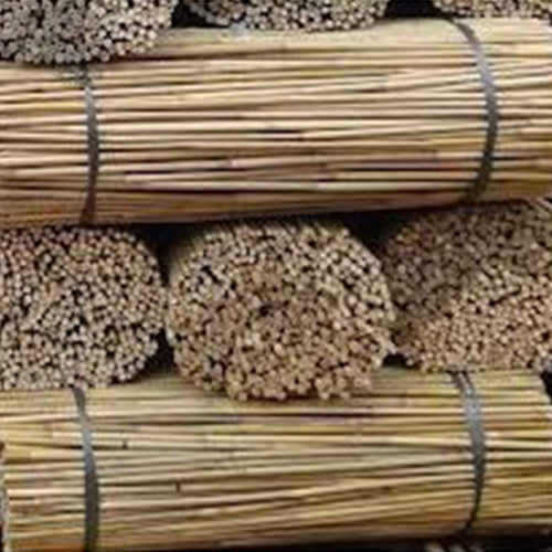 Bamboo Canes 4ft 10-12mm 500 pieces