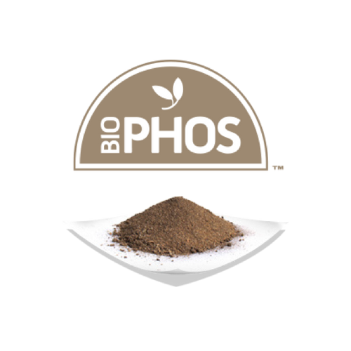 BioPhos